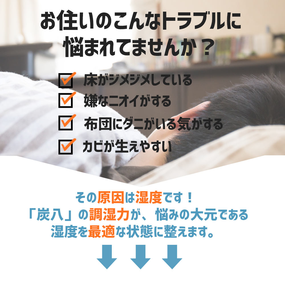 炭八 2重袋のスマート小袋 5個セット
