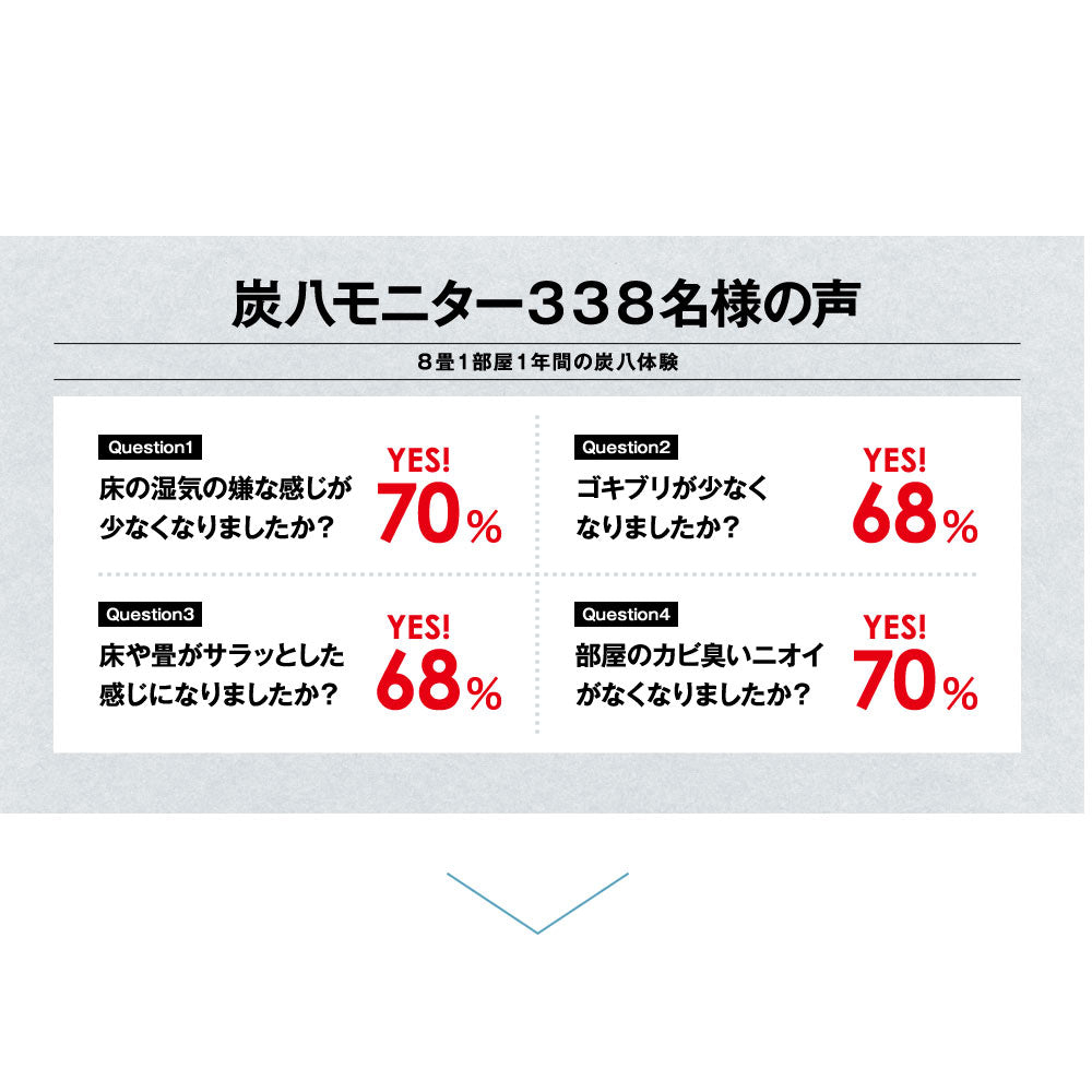 炭八 3L 4袋セット