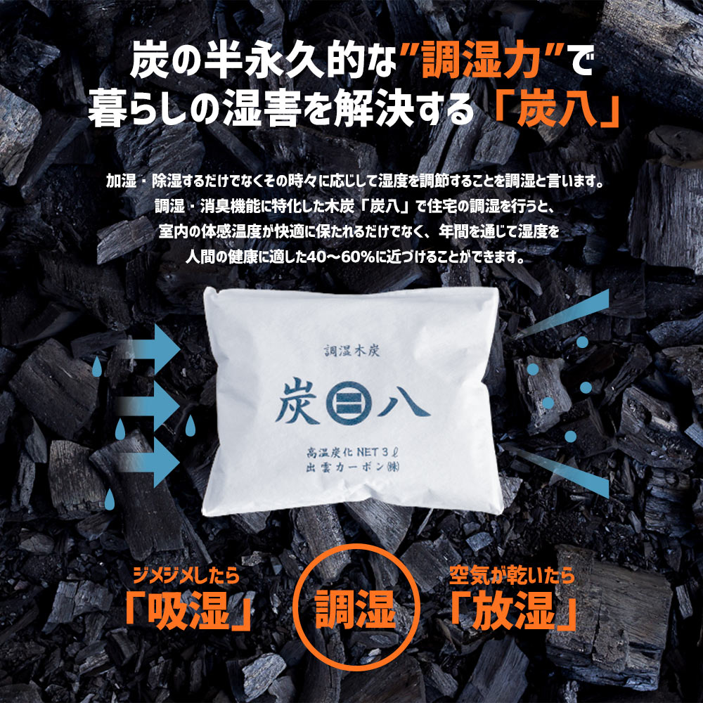 炭八 ビギナーセット