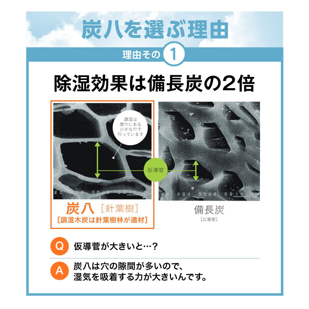 炭八 専用カバー付き 室内用 大袋 1袋