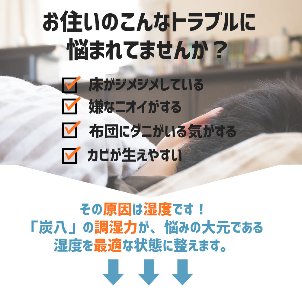 炭八 8L 選べる炭八セット2