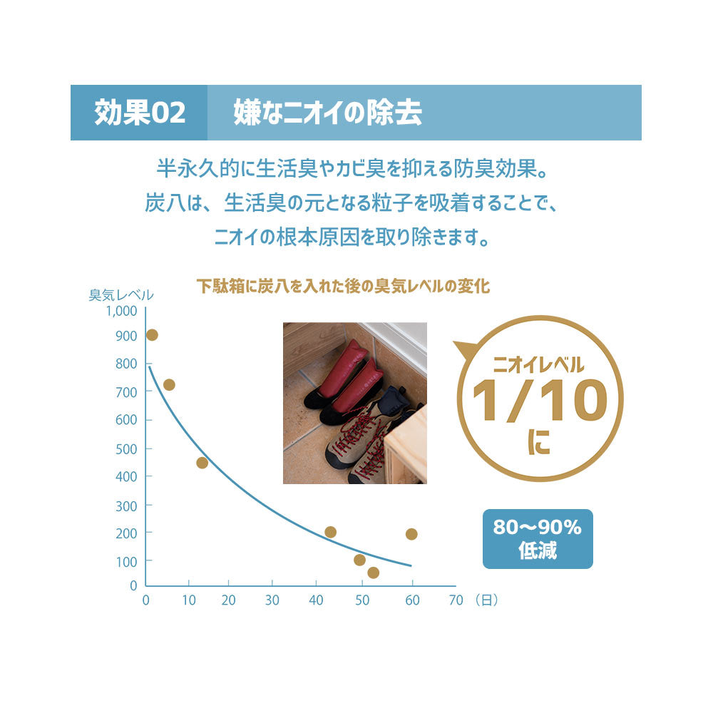炭八 8L 選べる炭八セット2