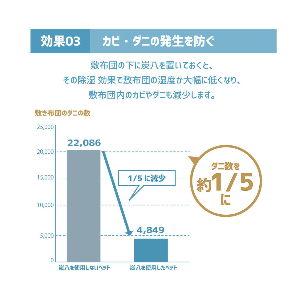 炭八 8L 選べる炭八セット2