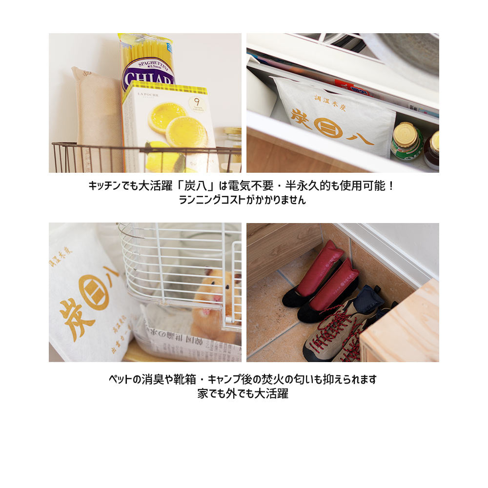 炭八トライアル8Lセット2