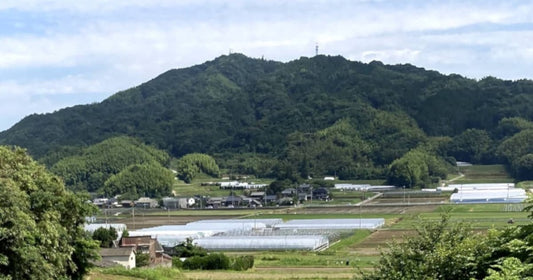 臨時休業のお知らせ