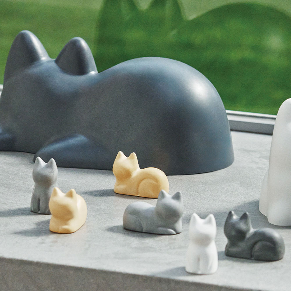 +d｜コネゴ ネゴ