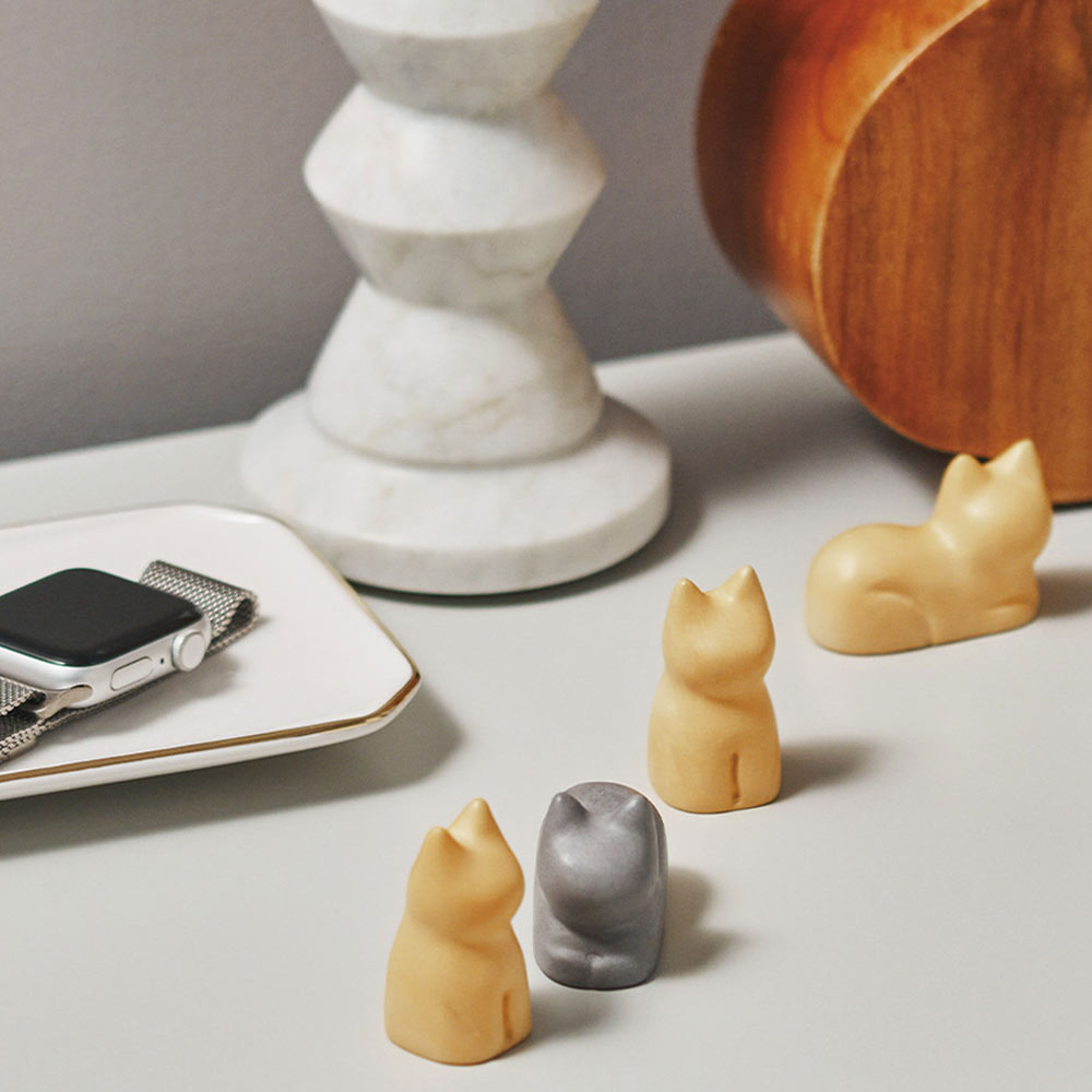 +d｜コネゴ ネゴ