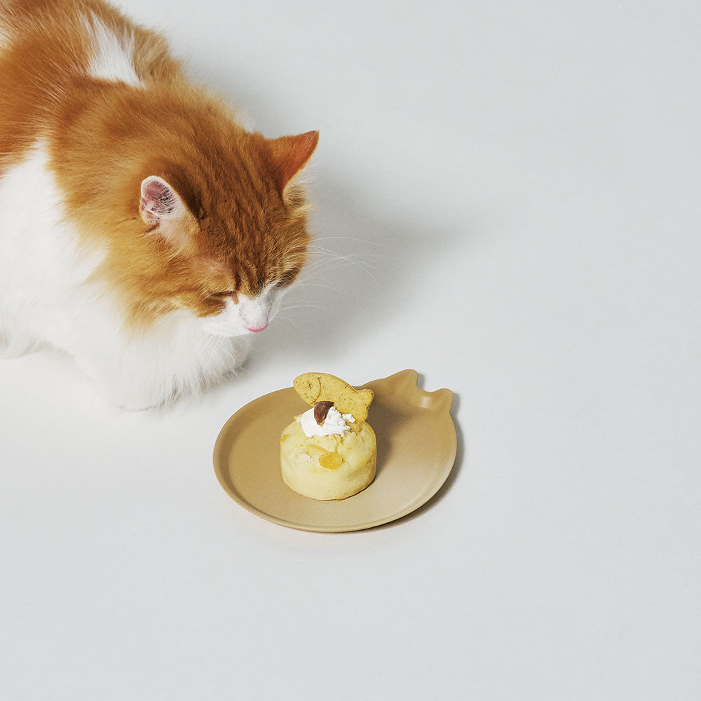 tak アミディッシュ キャット