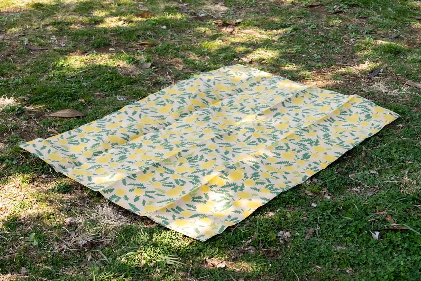 PICNIC RUG