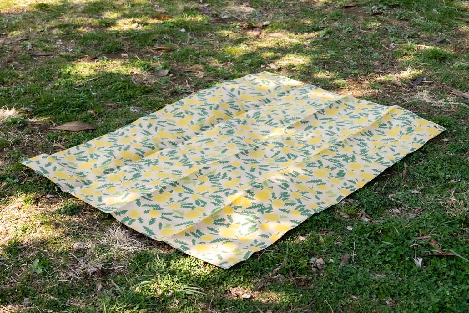 PICNIC RUG