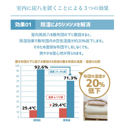 炭八 2重袋のスマート小袋 10個セット